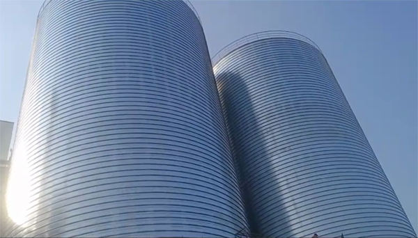 松柏镇2座混凝土高架卷板仓